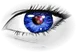 VINCI Vision